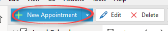 Adding_appointment_button