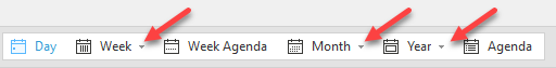 Calendar_views_modes