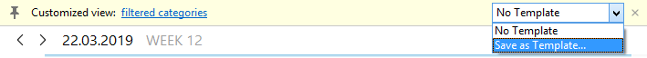 Calendar_custom_view_template