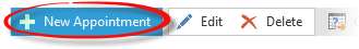 Adding_appointment_button