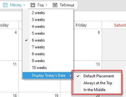Calendar_views_currentday